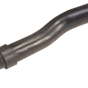 W203-Hose